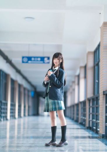 向风而行电视剧免费观看