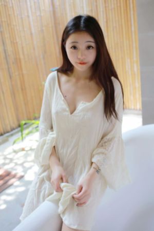 女神异闻录5动漫免费观看