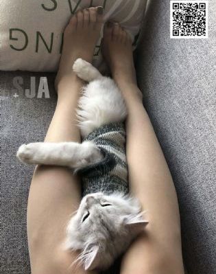 年轻的岳母4电影播放