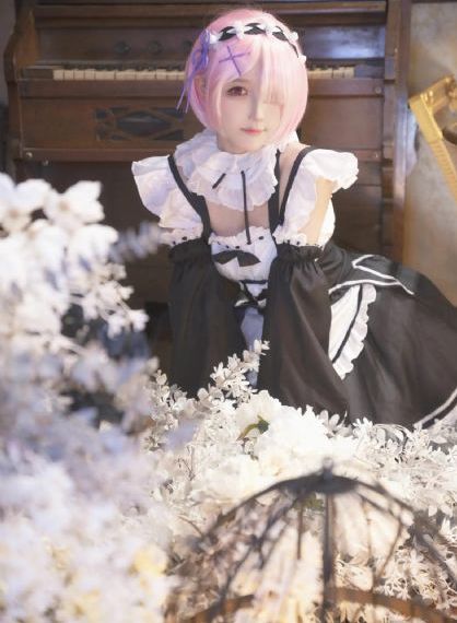 雏菊2