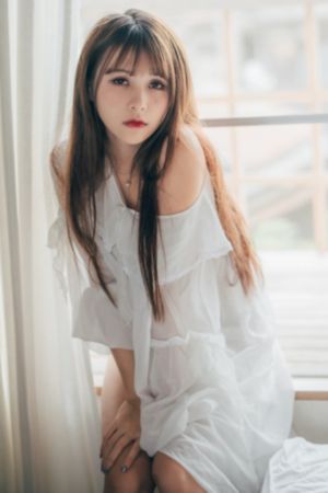 人与动物在线观看