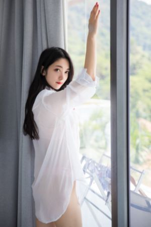新红楼梦之绝色春情