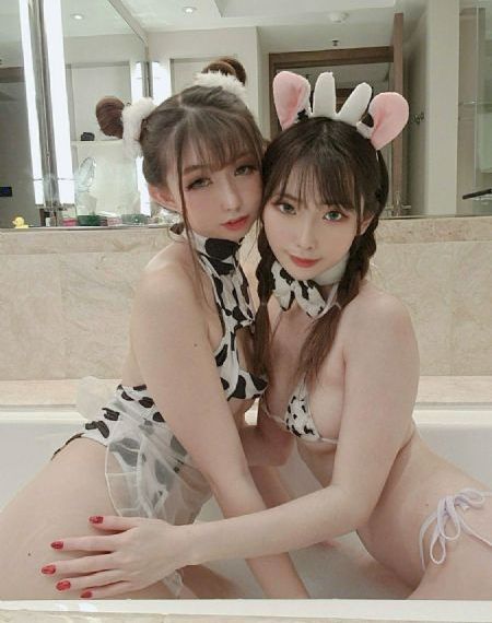 查快递单号查询